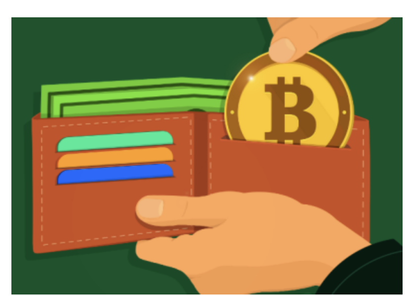 Illustration of a hand placing a gold Bitcoin coin into a wallet already holding cash and cards