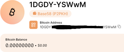 Blockchain.com explorer showing address 1DGDY-YSWwM with a Bitcoin balance of 0.00000000