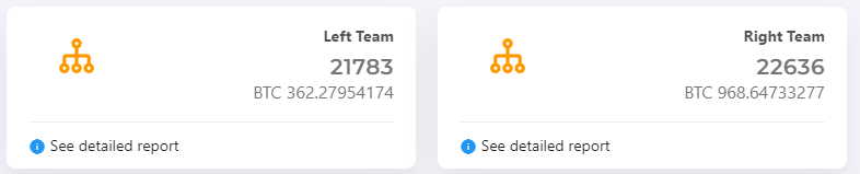 MTI dashboard widgets showing Left Team 21783 members with 362.28 BTC and Right Team 22636 members with 968.65 BTC